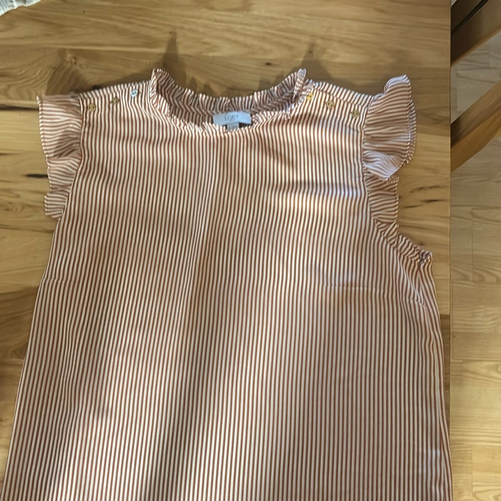 COPY - Ann Taylor Blouse, size large